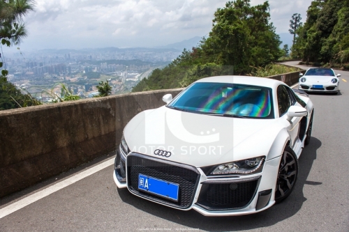 2008-2015 R8 V8 V10 Coupe & Spyder OEM Style Hood